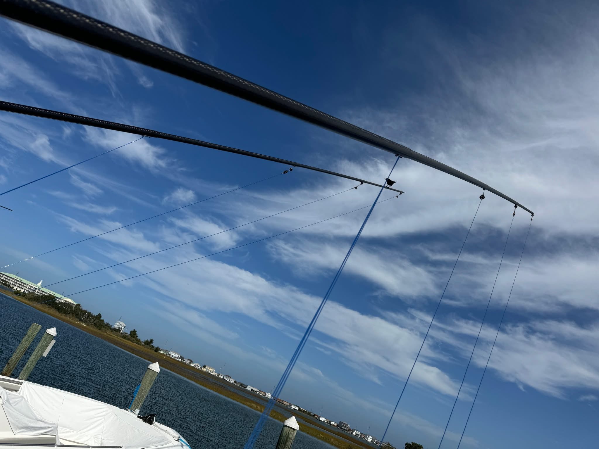 Fixed Internal Carbon Fiber Outrigger Pole Pair